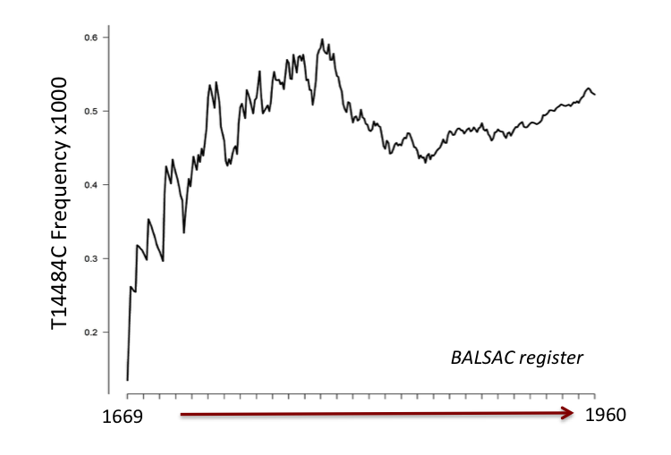 The mother’s curse, from flies to humans